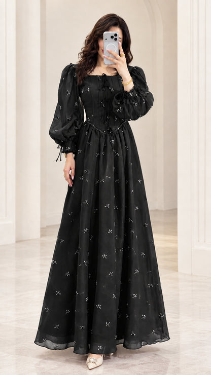 Front view of model wearing Black embroidered chiffon maxi dress
