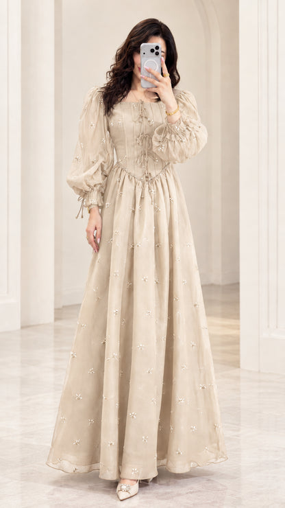 Front view of model wearing Champagne beige embroidered chiffon maxi dress